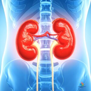 Urology